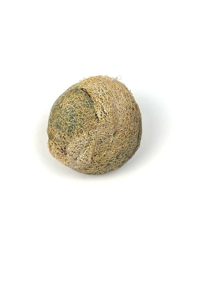 Luffa mit Zeder Seife und Honig - Runde Luffa-Pflanze für sanftes Peeling und natürliche Hautpflege.