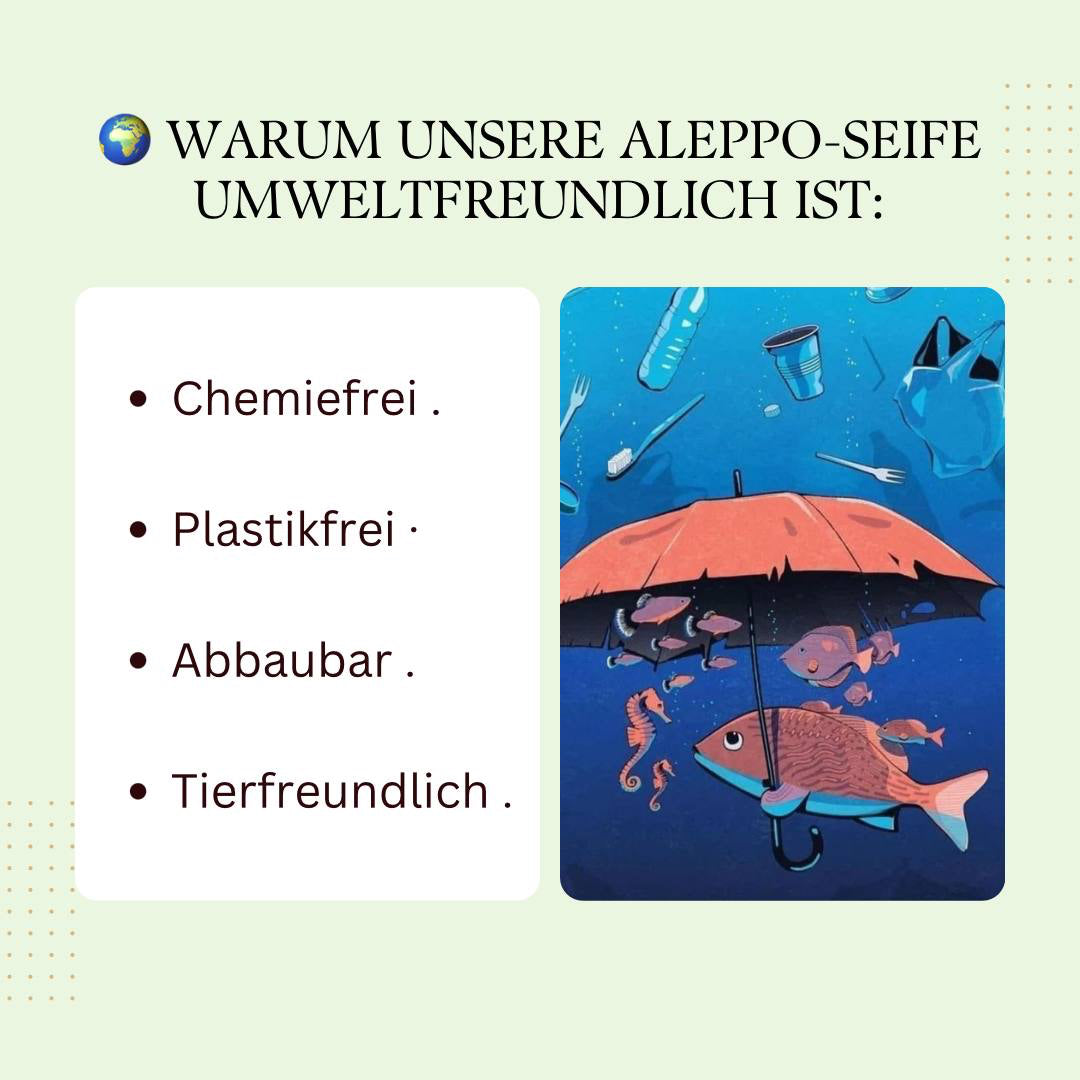 DREI STÜCK Aleppo Seife Naturseife empfindliche Haut Haarseife ca. 190g Unverpackte, .